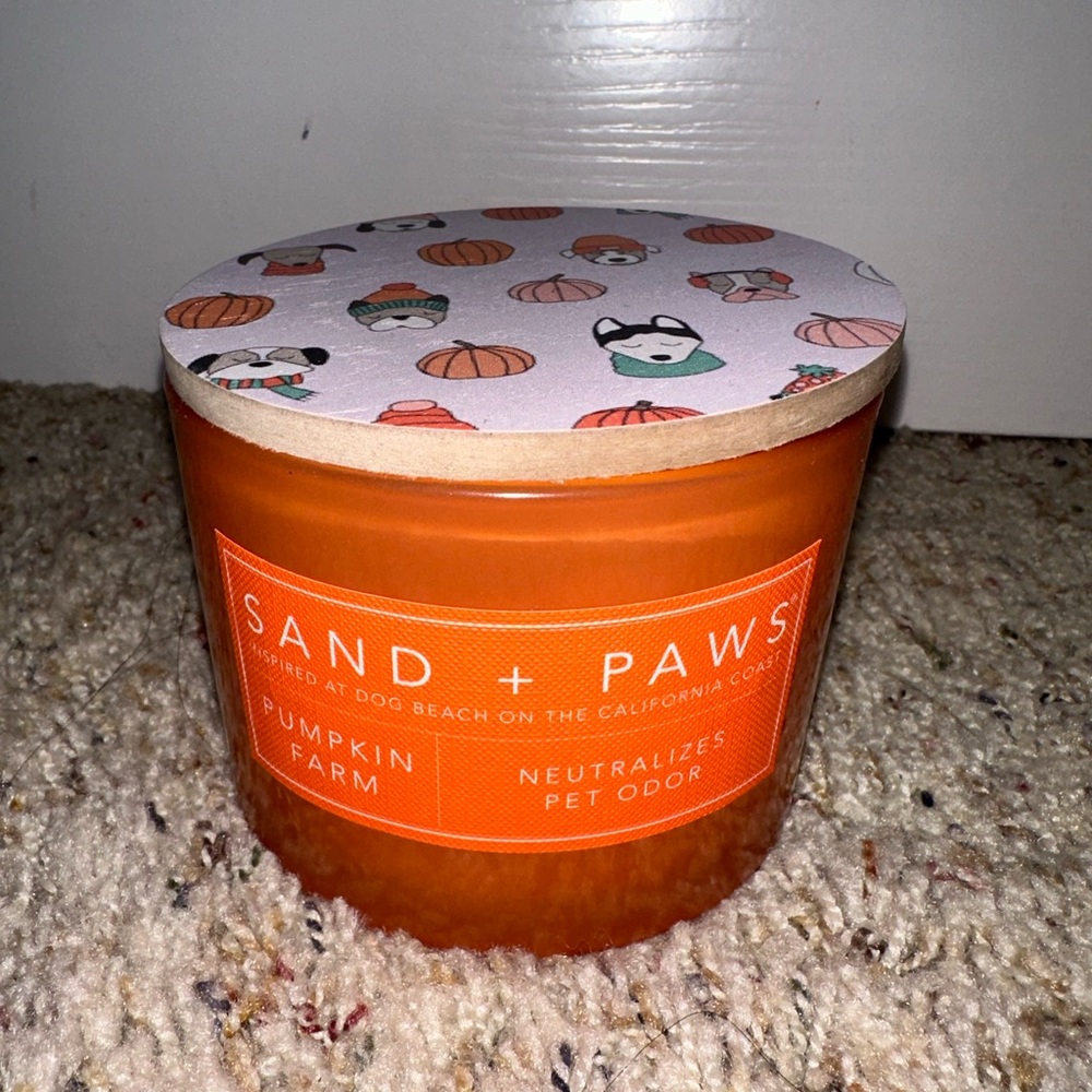 Sand and fog paws 🐾 pumpkin 🎃 farm holiday fall candle - Picture 5 of 9